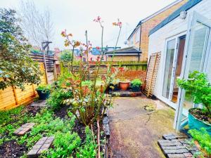 a garden with plants and a house at Crouch End Garden Apartment! in London
