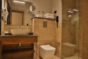 a bathroom with a sink and a toilet and a shower at Casa Galwan in Leh