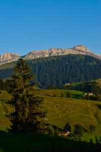 a tree on a hill with mountains in the background at Ferienwohnung in Bühler in Bühler