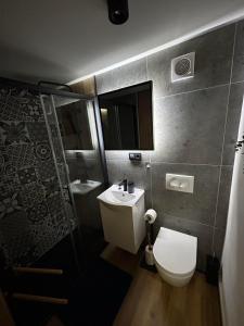 een kleine badkamer met een toilet en een wastafel bij Hiška pod črešnjo in Rogašovci