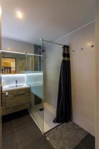 een badkamer met een glazen douche en een wastafel bij Appartement , Barr, Au coeur de la Route des Vins in Barr