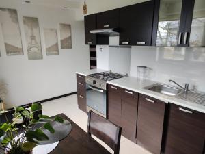 cocina con fogones, fregadero y mesa en U Zajączka, en Busko-Zdrój