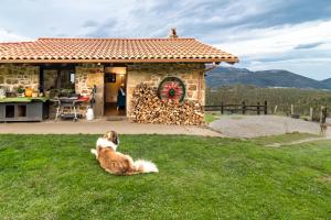 a dog sitting in the grass in front of a house at Casa rural La alemana in Liérganes