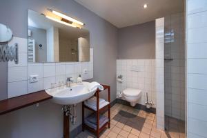 a bathroom with a sink and a toilet at Hofstede de Rieke Smit in Wilsum