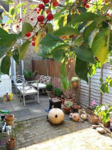 a patio with potted plants and a bench and a tree at Cosy London single room (near Wimbledon) in London