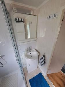 a small bathroom with a sink and a mirror at Turtle Lodges 29 - Riverside in Builth Wells