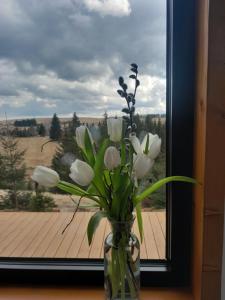 a vase filled with white flowers in front of a window at Natura Tiny House in Mărişel