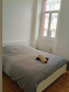 a bed in a white room with a window at 102 - Appart rénové avec grand salon et 1 chambre - Tram et Clinique Mutualiste à 1 min in Grenoble