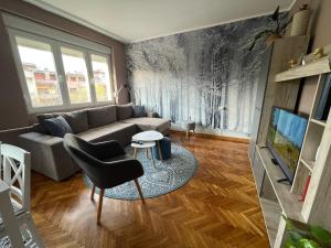 a living room with a couch and a tv at Apartman Avenia in Novi Sad