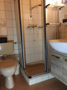 a bathroom with a shower and a toilet and a sink at Haus "Sonnenschein" in Breklum