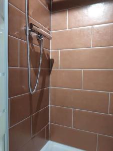 y baño alicatado con ducha y manguera. en Appartement - Vendôme, en Vendôme