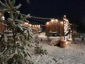 a wooden shed with lights on it in the snow at MATEVOSYAN`S Rest House in Lermontovo