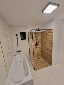 a bathroom with a sink and a wooden door at Pensiunea Elysium in Lunguleţu