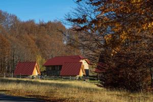 Peisaj natural din apropierea acestui camping