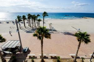 uma praia arenosa com palmeiras e o oceano em Mediterranean Terraces - Sandy Beach em Villajoyosa