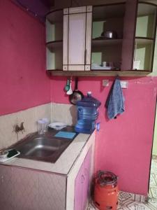 una cucina con lavandino e parete rosa di Wamusa Homes at Chaka a Kiganjo