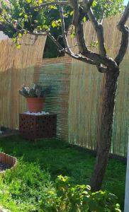 A garden outside Shanti Ca' casa indipendente con giardino