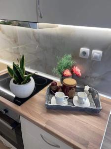 a tray with cups and plants on a kitchen counter at Cozy studio στο κεντρο in Larisa