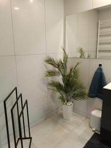 Fotografia z galérie ubytovania Apartament Zielony Zakątek Wrocław free parking, ochrona vo Vroclavi
