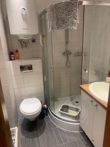 a bathroom with a shower and a toilet and a sink at Apartament w Łukęcinie BlueMare in Łukęcin