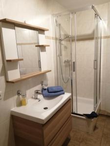 a bathroom with a sink and a shower at Apartment Am Markt 4 in Bad Gottleuba