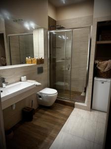 uma casa de banho com um chuveiro, um WC e um lavatório. em Apartament Nowar em Nowa Ruda