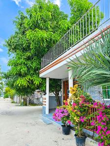 Zahrada ubytování Keveli Guesthouse
