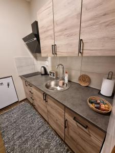 a kitchen with a sink and wooden cabinets at Dorče Apartmani in Horgoš +7 photos