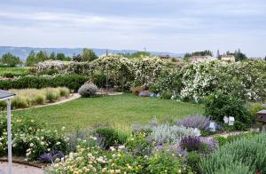 A garden outside Il Fienile di Assisi