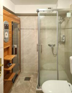 a bathroom with a glass shower with a toilet at Cozy apartment under the vine in Sežana