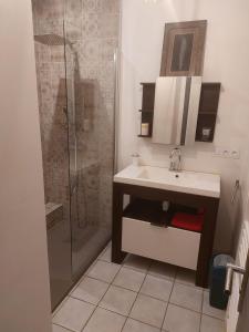 La salle de bains est pourvue d'un lavabo et d'une douche. dans l'établissement Charmant T2 avec vue sur le port et parking, à Vannes