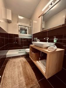 a bathroom with a sink and a toilet and a mirror at Villa AYA - with sauna and outdoor swimming pool in Mostar