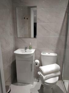 W łazience znajduje się toaleta, umywalka i lustro. w obiekcie Oceanik w Dublinie