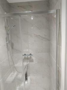 W łazience znajduje się prysznic ze szklanymi drzwiami. w obiekcie Oceanik w Dublinie