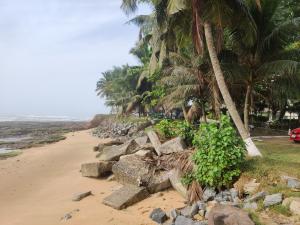 plaża z kamieniami i palmami oraz samochód w obiekcie Beach Road Oasis w mieście Sekondi-Takoradi
