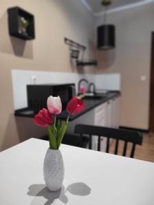 a white vase with three pink flowers on a table at Willa przy Czarnej Bramie in Kłodzko