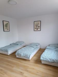 two beds in a room with a wooden floor at Apartament Wojska Polskiego in Starachowice