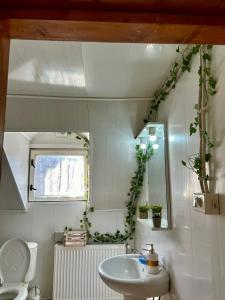 W łazience znajduje się umywalka, toaleta i lustro. w obiekcie Cabana Oana 5-bedrooms chalet w mieście Arad