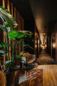 korytarz z krzesłem i rośliną w obiekcie NeroHome Bed&Breakfast w mieście Łomża
