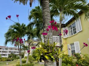 un palmier devant un bâtiment avec des fleurs roses dans l'établissement Jamaica Time Driftwood at Sea Palms 3BR 3BA Condo in Ocho Rios with Pool and Beach Front with Views ONLY 10 Mins from Ochi Intl Airport Direct flight from Miami, à St Mary