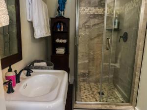 a bathroom with a sink and a shower at Bed & Breakfast private room and bath in Elkhart