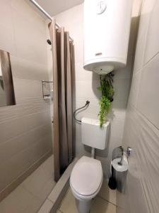 a bathroom with a toilet and a sink and a shower at Guesthouse Ožegović in Belgrade