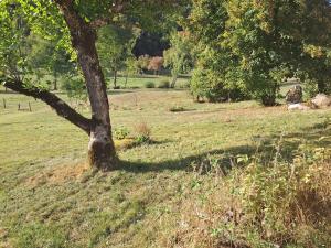 Zahrada ubytování Ferme auvergnate