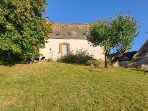 une maison dans un champ avec un arbre en face dans l'établissement Ferme auvergnate, à Tauves