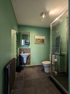a green bathroom with a toilet and a sink at Two Bedroom flat in Caledonia Place in Bristol