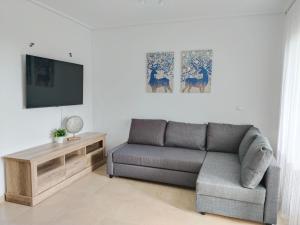 Apartamento La Torre Golf في توري-باتشيكو: غرفة معيشة مع أريكة وتلفزيون بشاشة مسطحة