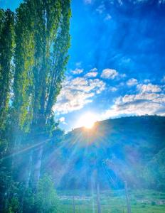 a sun shining through the trees in a field at Sonja's House of Sun, Bislim Gorge, Riverview & yard in Kumanovo