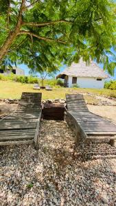 two wooden benches sitting under a tree in a field at Habibis Bottle House in Nungwi