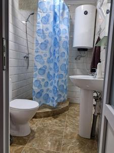 łazienka z toaletą i zasłoną prysznicową w obiekcie Family House w mieście Makarovka