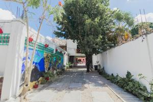Fotografie z fotogalerie ubytování Hotel Szapot v destinaci Bacalar